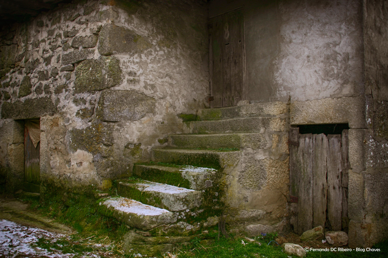 1600-capeludos (74)-video.jpg