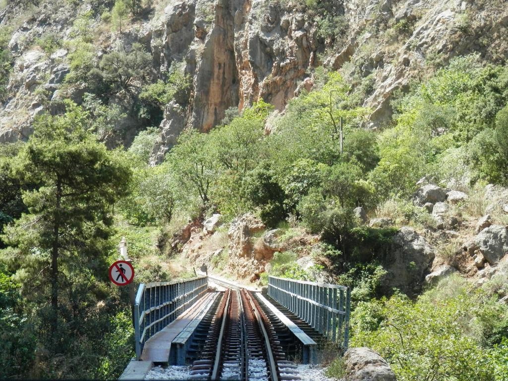 P7301537.JPG P7301537.JPG