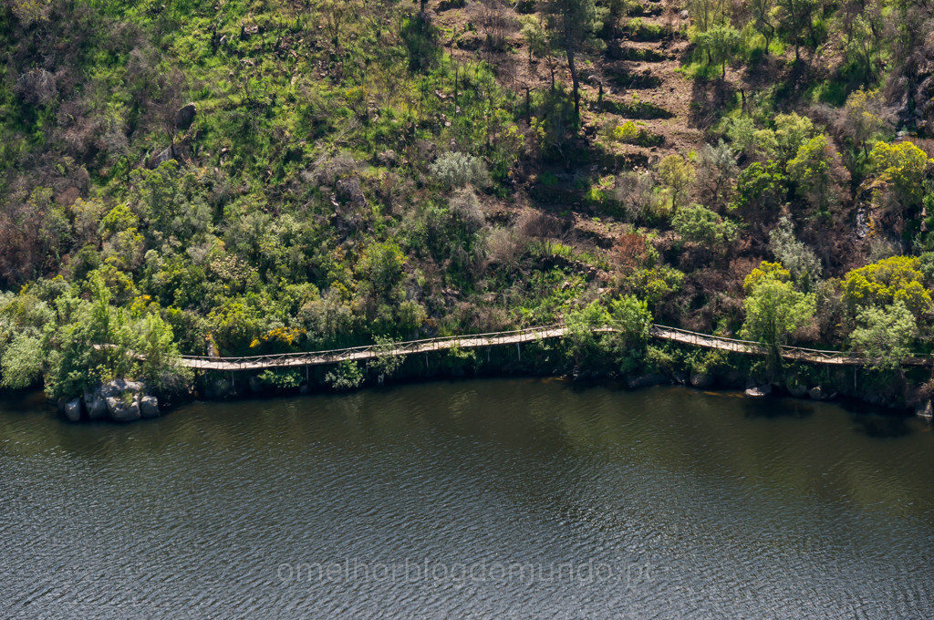 _DSC6655.jpg _DSC6655.jpg