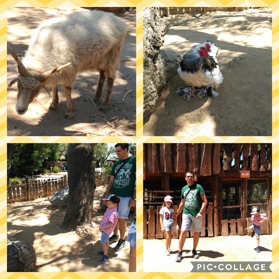 Collage 2017-07-22 22_53_38.jpg Collage 2017-07-22 22_53_38.jpg