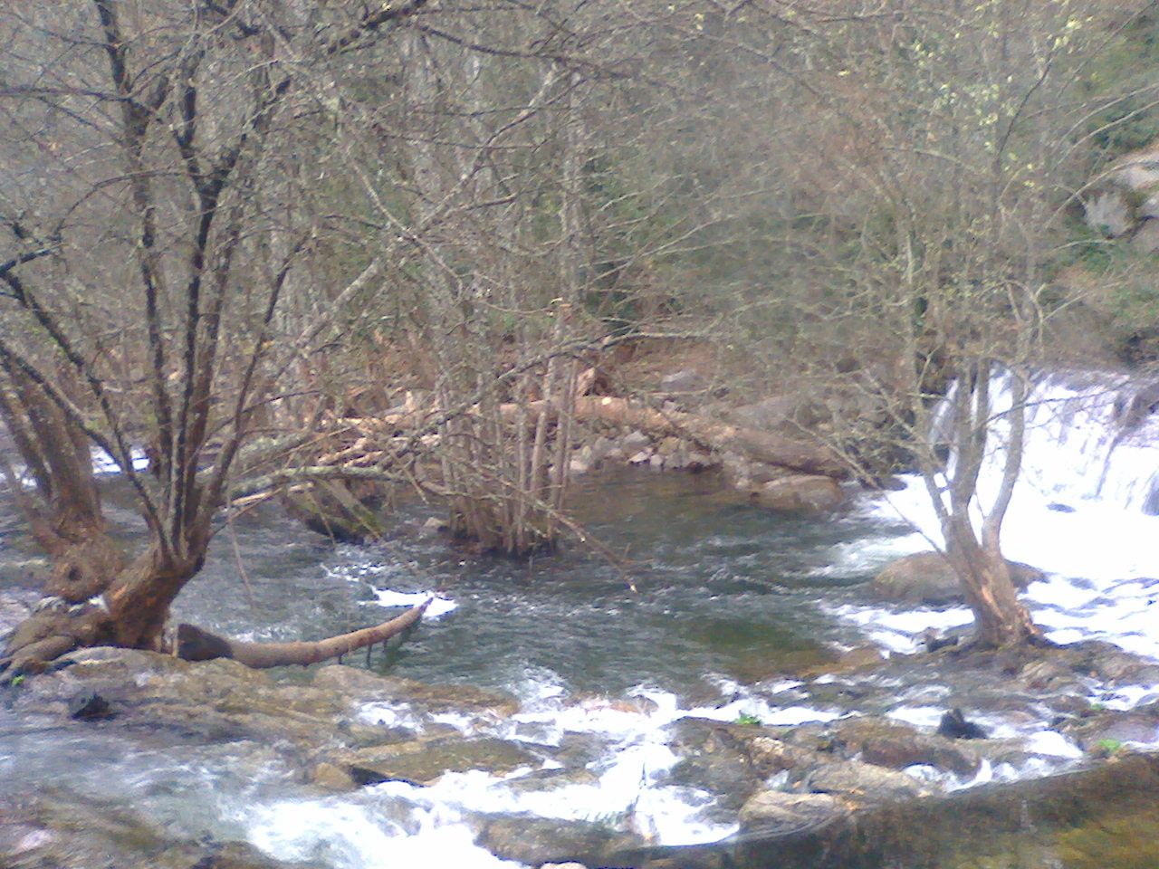 Rio Coja 2016-02-06 Rio Coja 2016-02-06