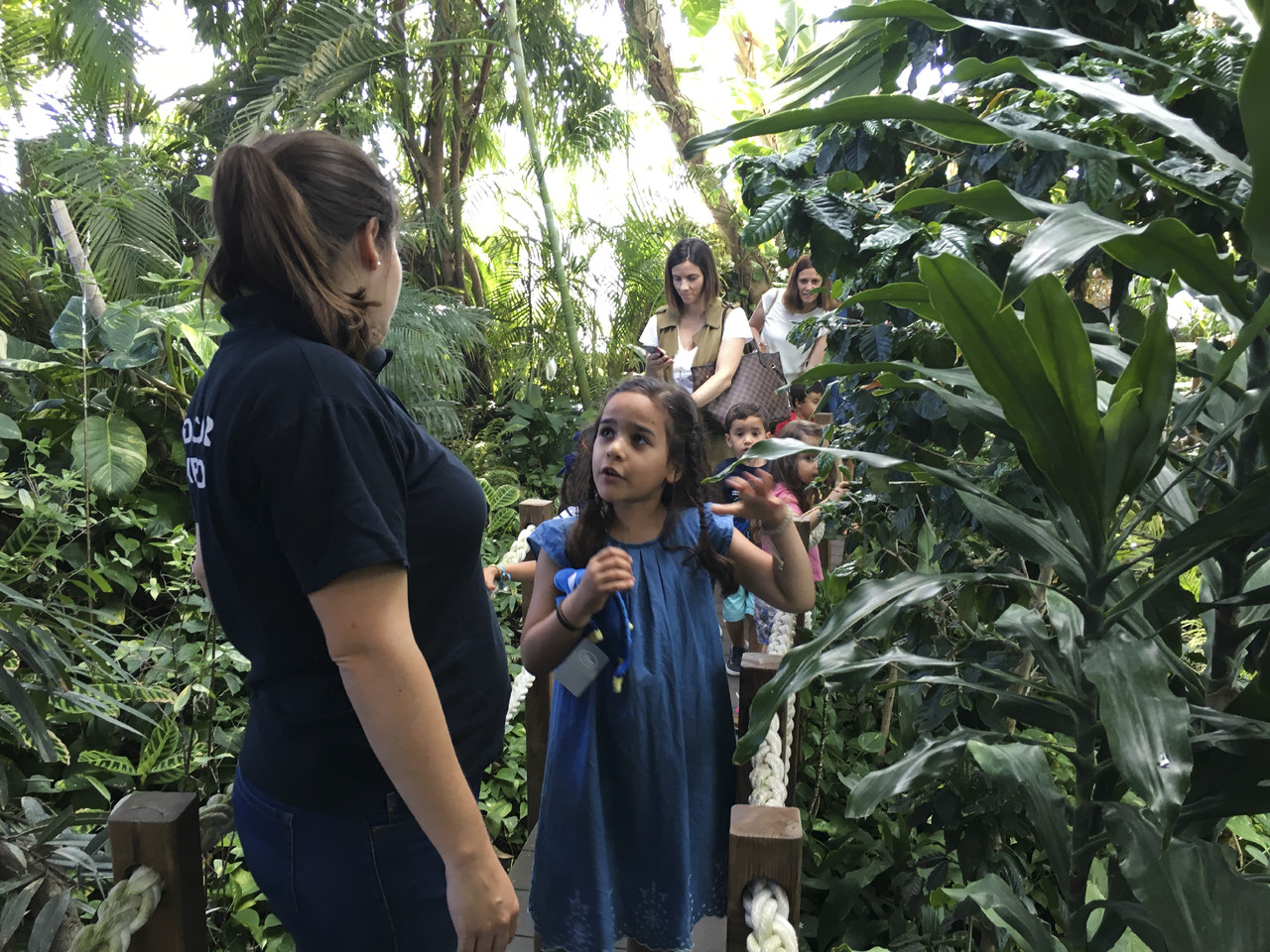 Dory-187.jpg Dory-187.jpg