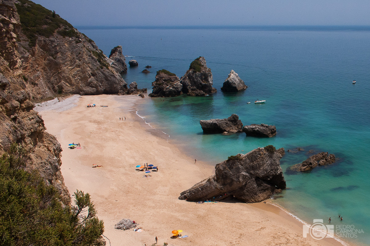 ribeiro.jpg ribeiro.jpg