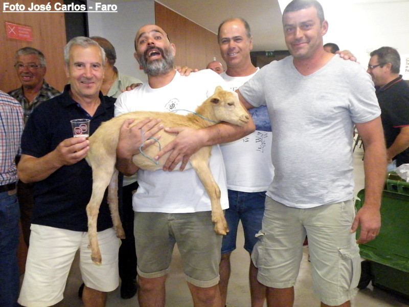 Leilão Serpa 2017 010.JPG