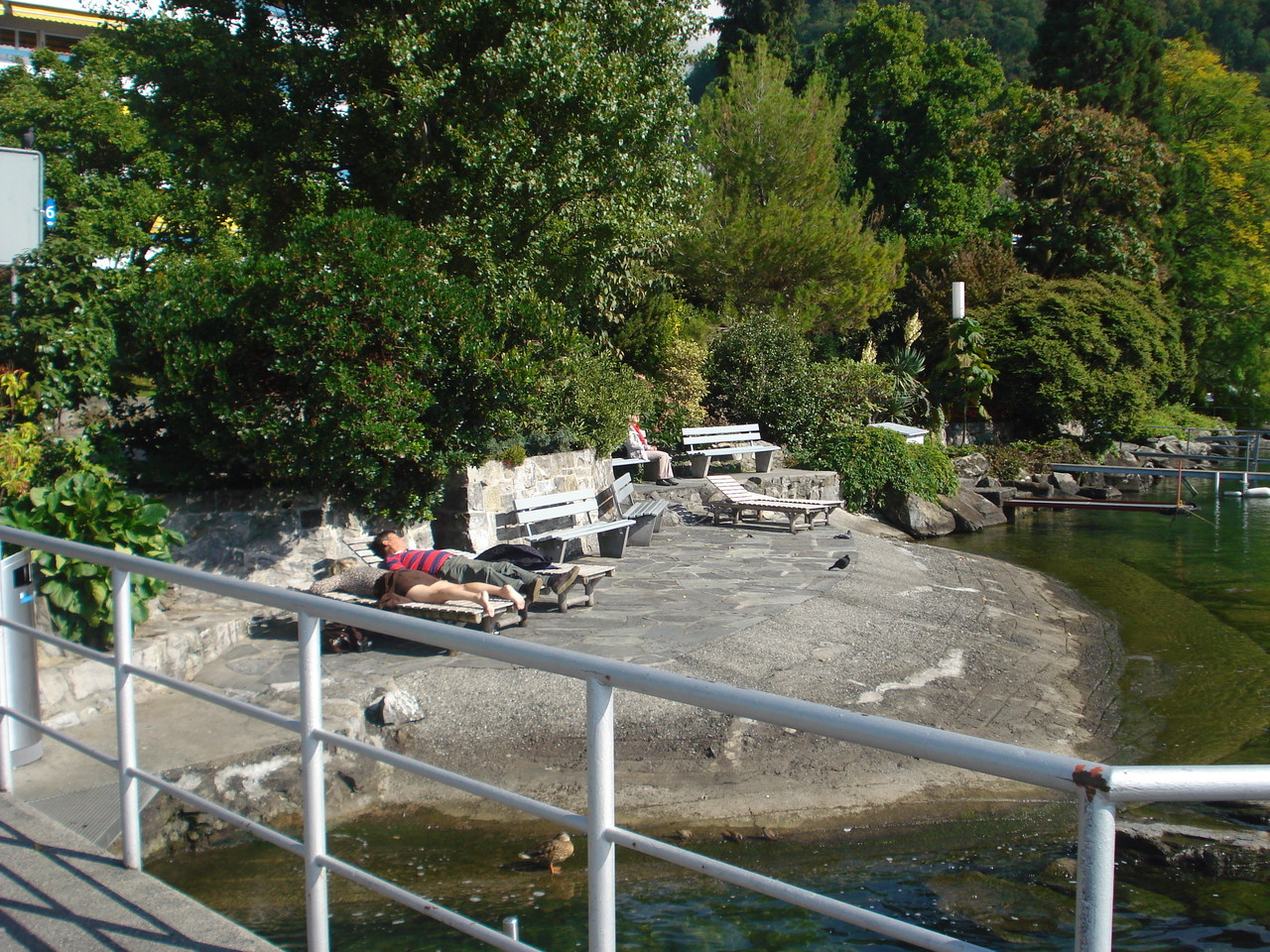 DSC00113.JPG DSC00113.JPG