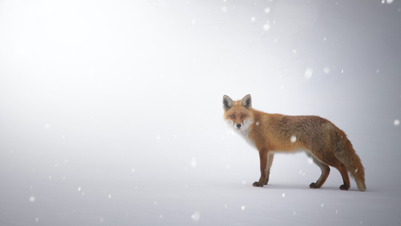 francesco-tommasini-wybkd-04SPc-unsplash copy.jpg