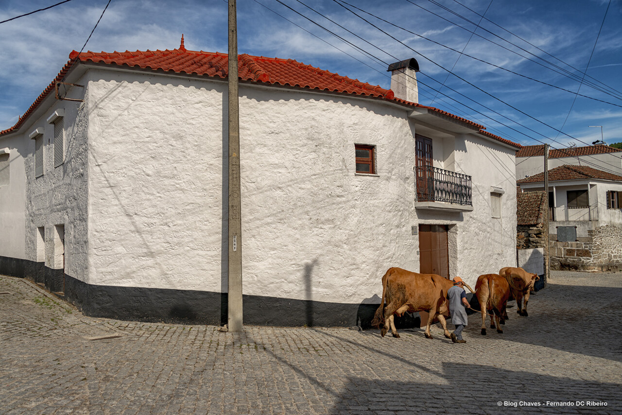19-1600-granja (198).jpg