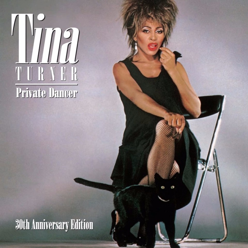 tinaturner.jpg