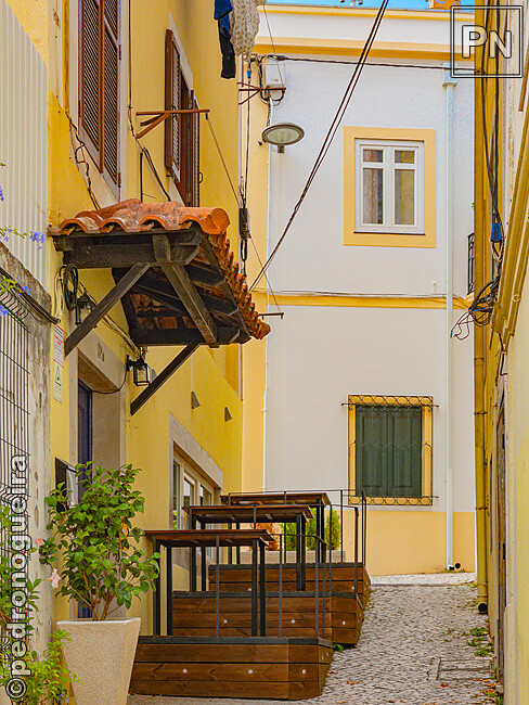 Jul_2023_098 650px.jpg