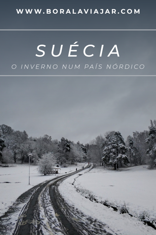 Suécia - O inverno num país nórdico.png