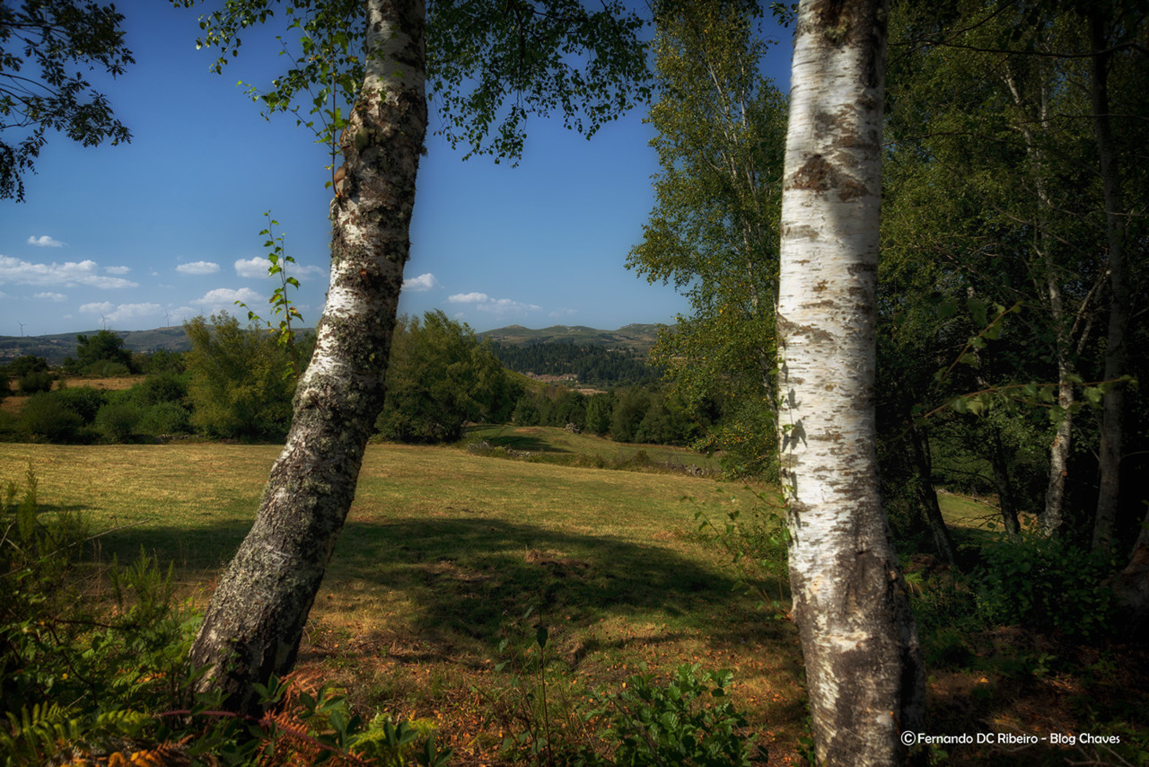 1600-lama-da-missa (223).jpg