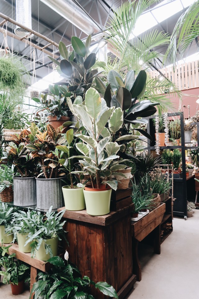 68D2D665-79FB-4C81-A8B2-62A4CBE53681-9805B83F-540C