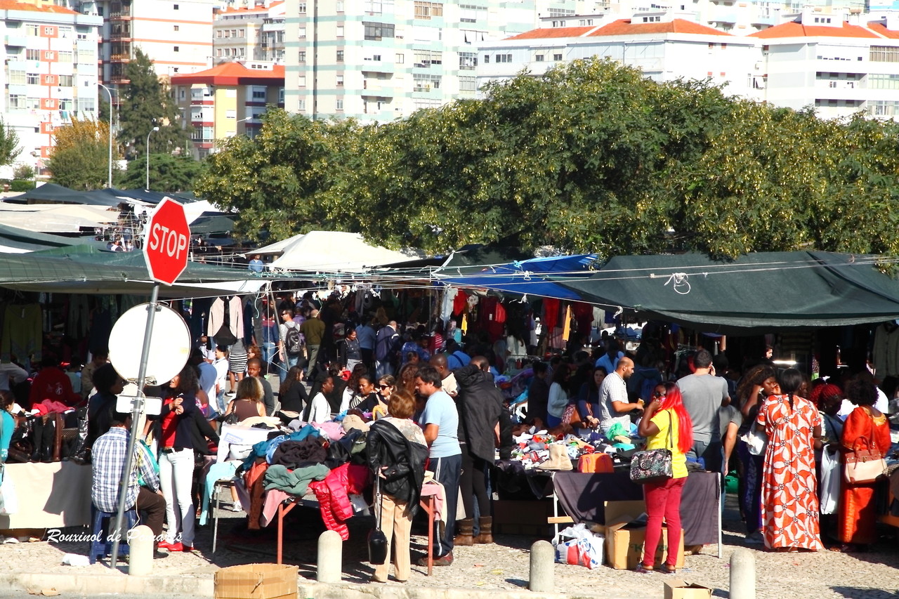 aqui também há feiras (0012)