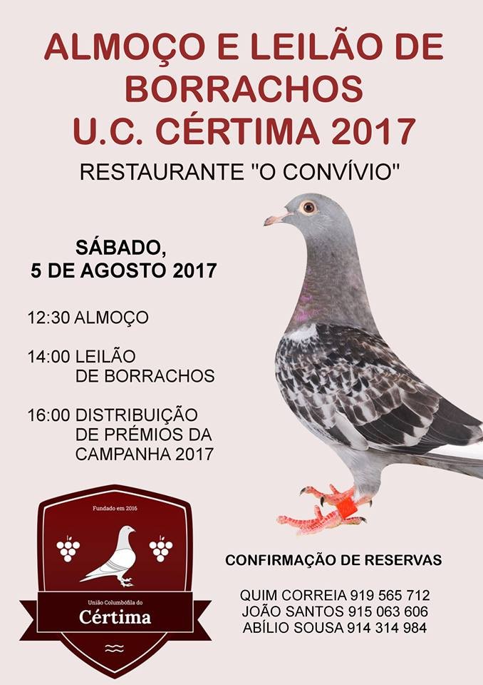 Leilão Cértima.jpg