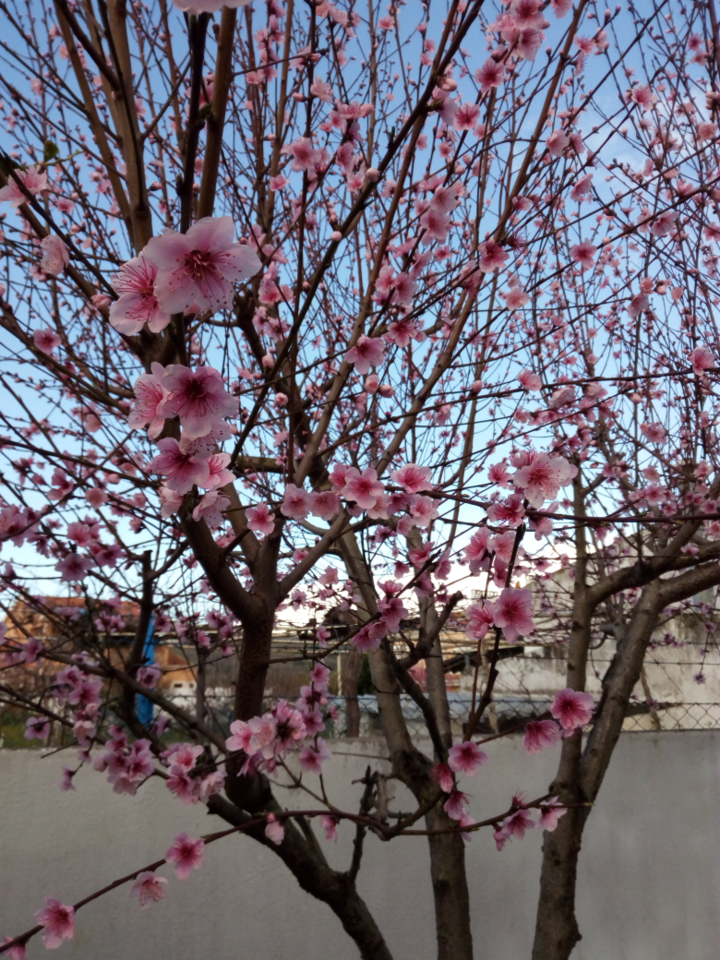 PE_20180316_063956.png PE_20180316_063956.png