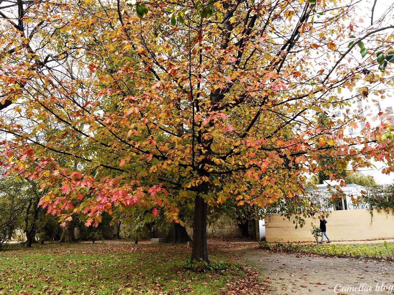 Casa das artes 8.JPG