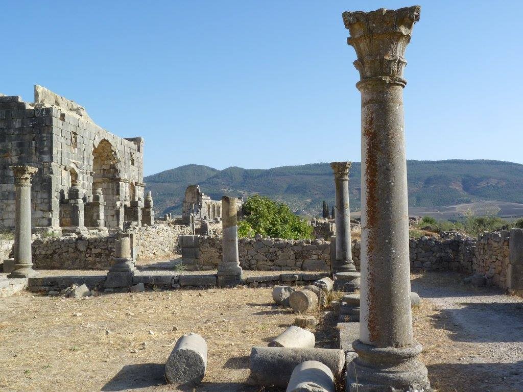 Volubilis (19).jpg