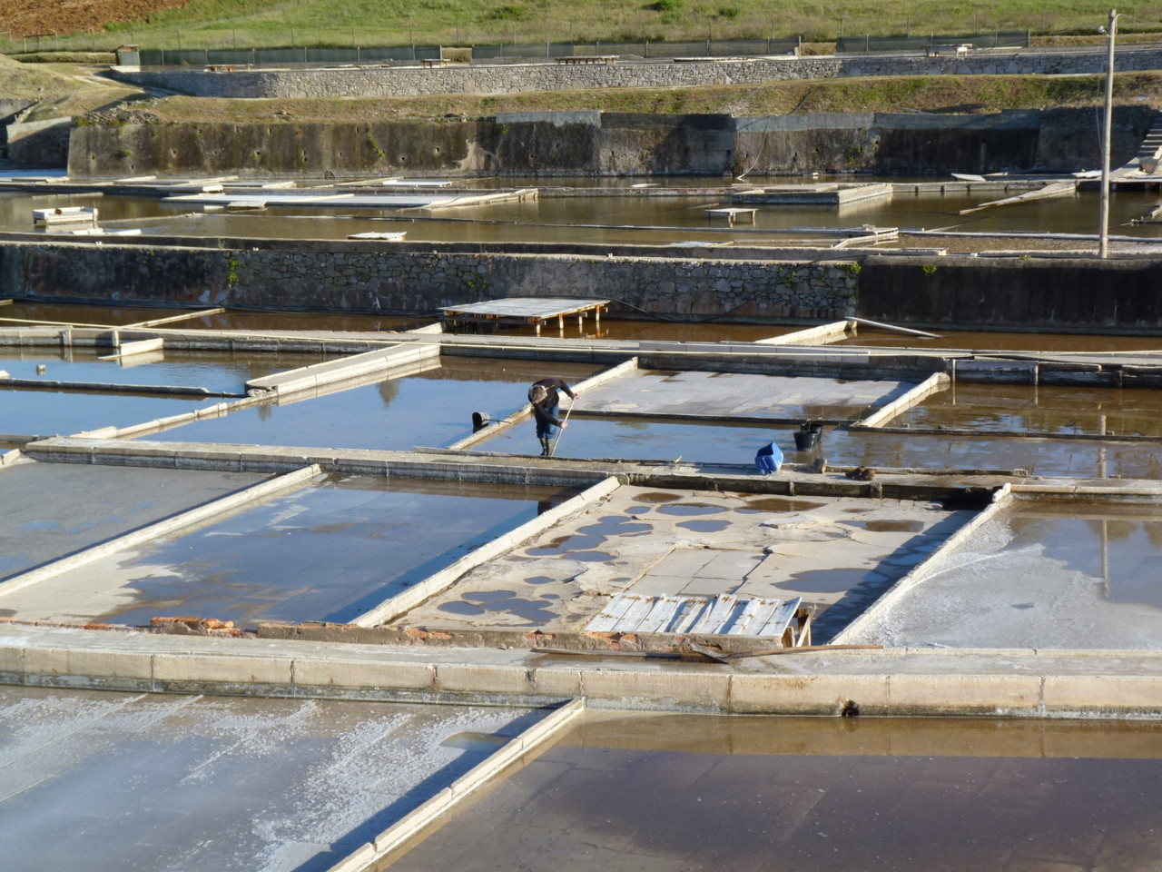 Marinhas de sal de Rio Maior.JPG