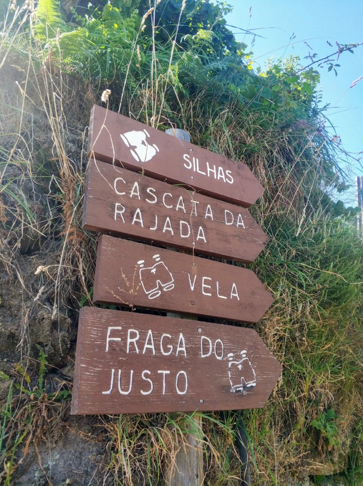 Placas de madeira.jpeg