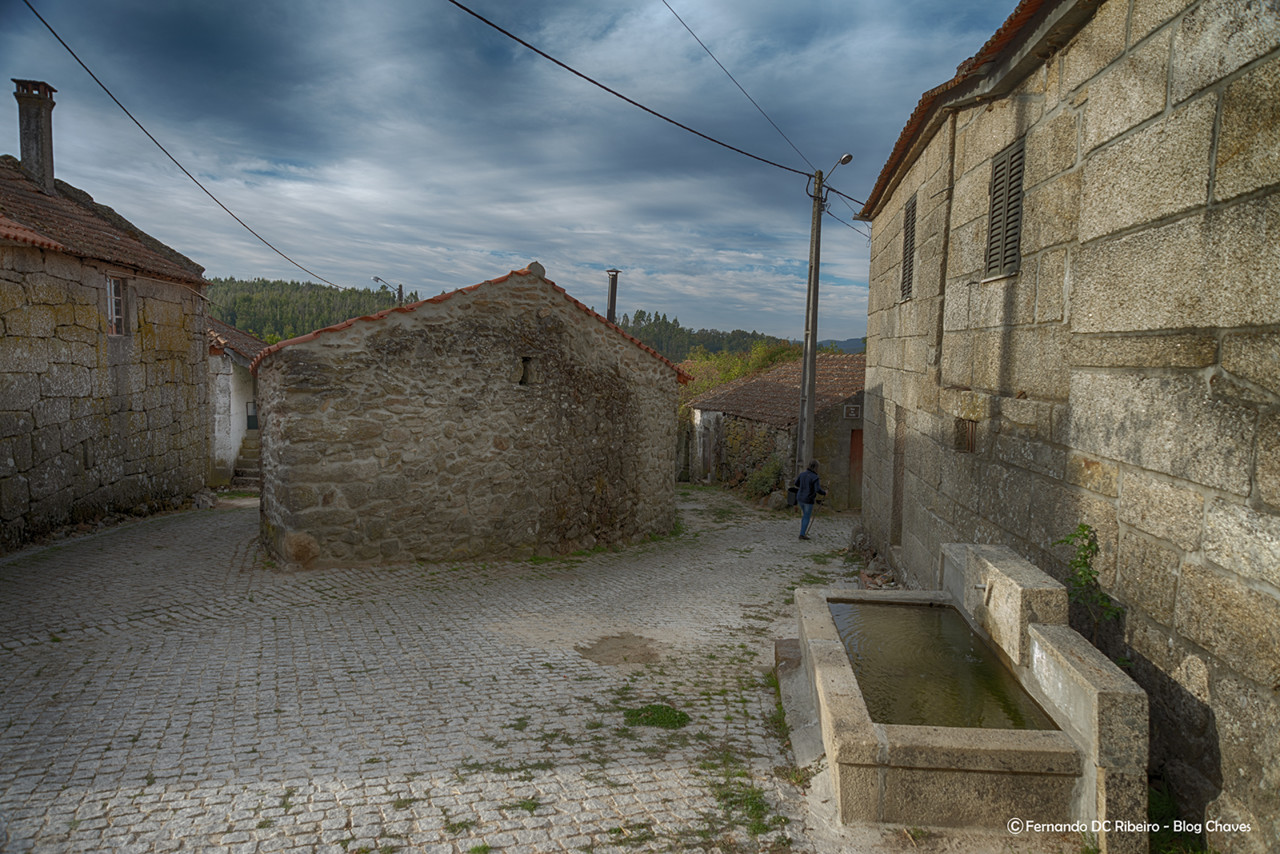 1600-cervos (14)-video.jpg