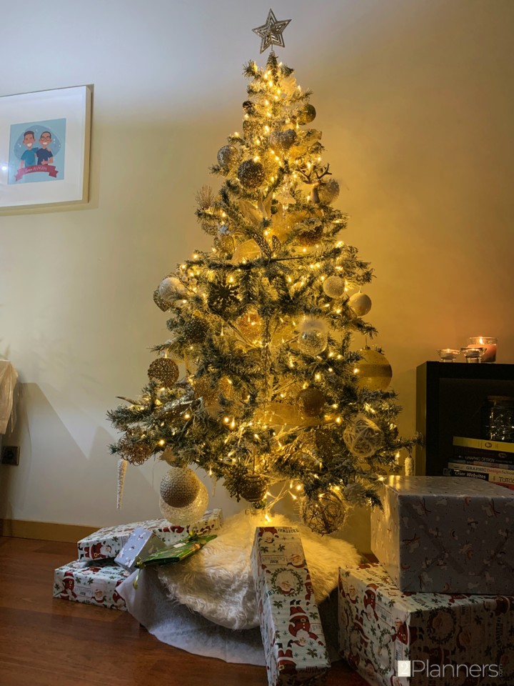 How to set up your Christmas Tree 🎄 The 2 Planners