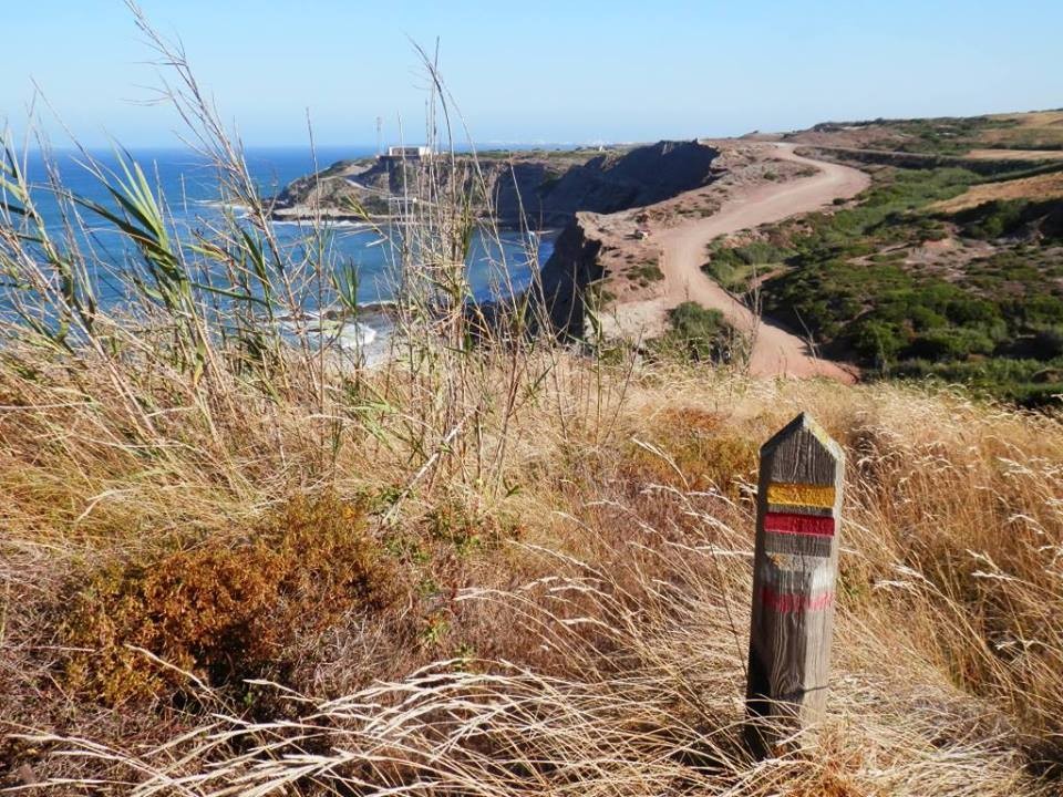 13769595_1227197487291840_8480779061938823161_n.jp 13769595_1227197487291840_8480779061938823161_n.jp