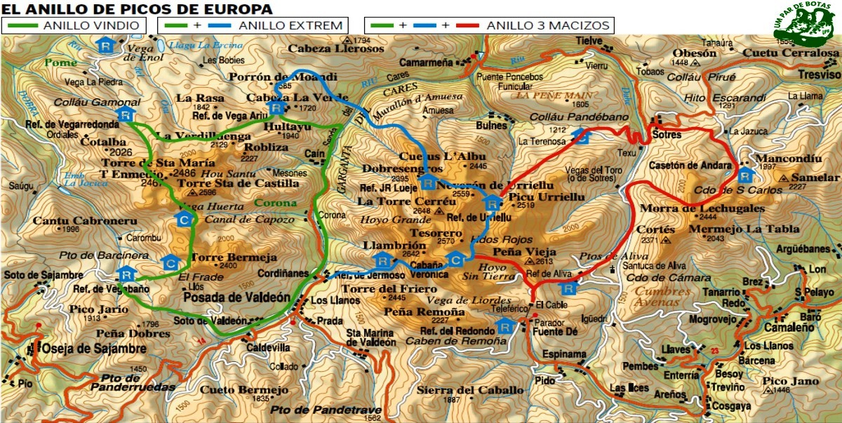 banner Anillo.jpg banner Anillo.jpg