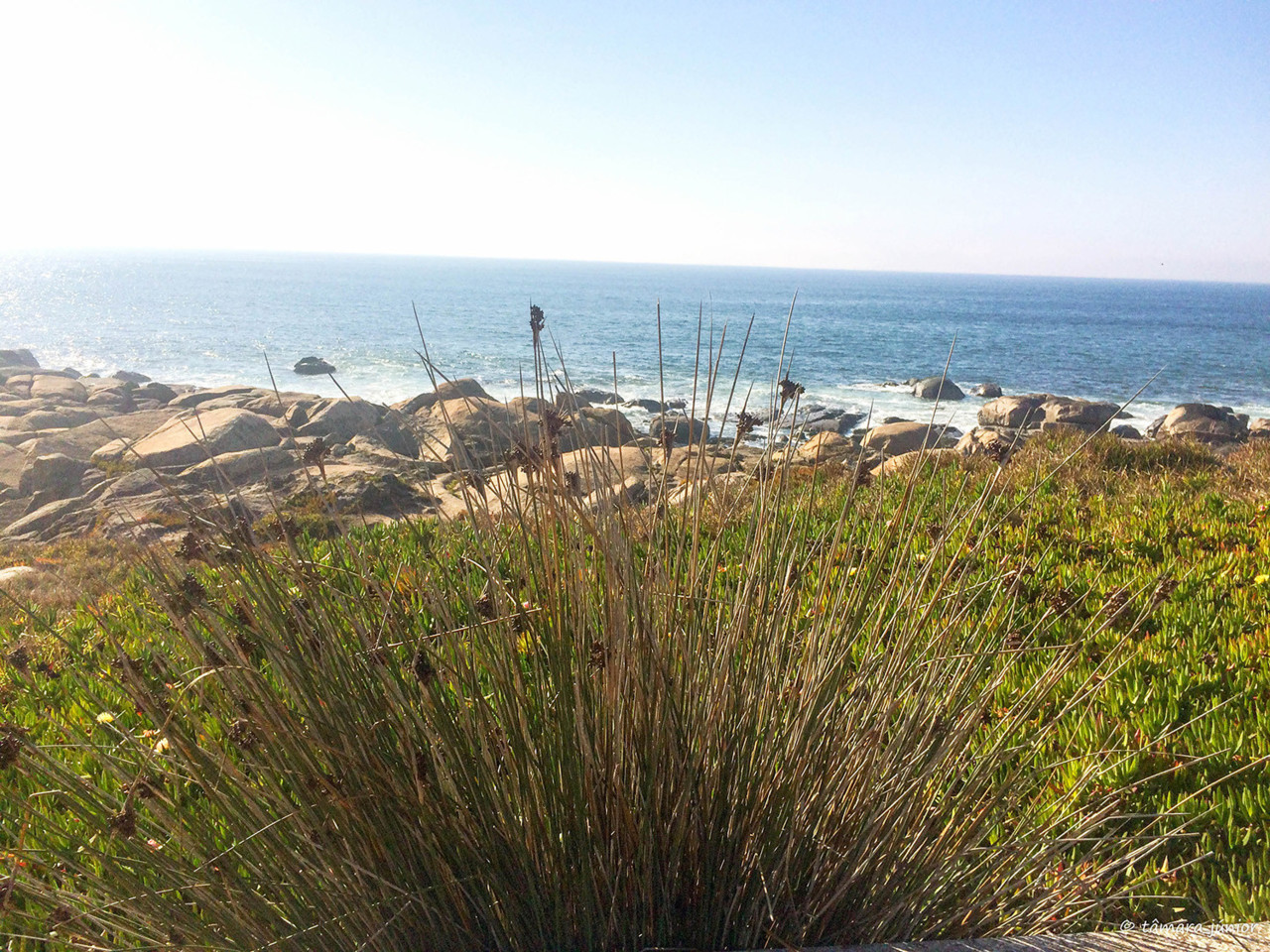 2017.- VNG - Casa Branca (Samsung) (26).jpg