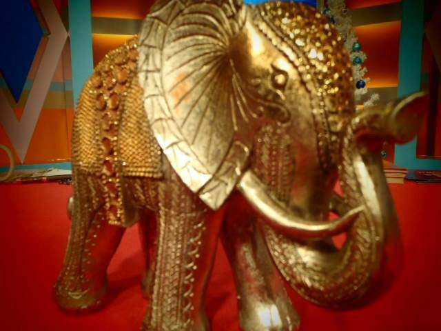 elefante da sorte.jpg elefante da sorte.jpg