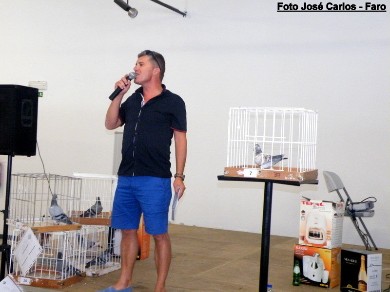 Leilão Serpa 2017 061.JPG