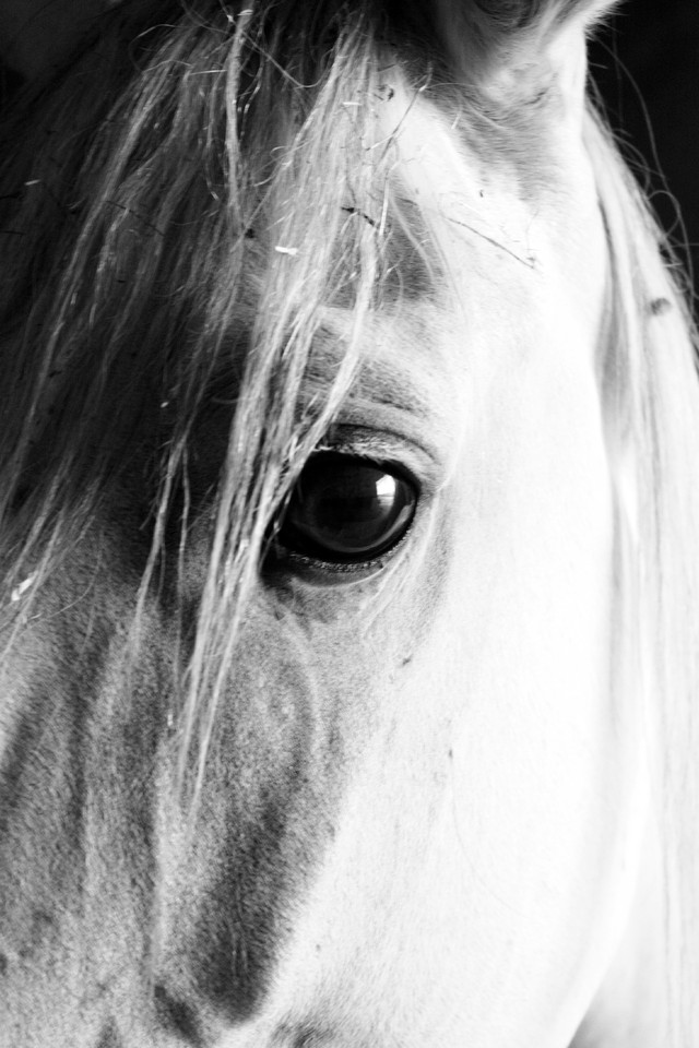 Olho por olho # 156.jpg