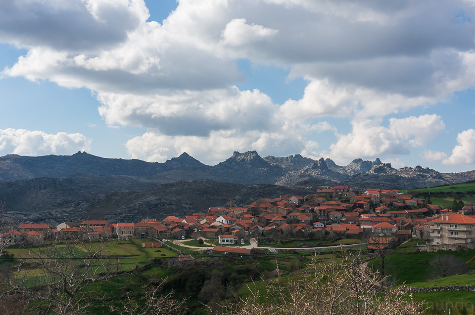 DSC01950.jpg DSC01950.jpg