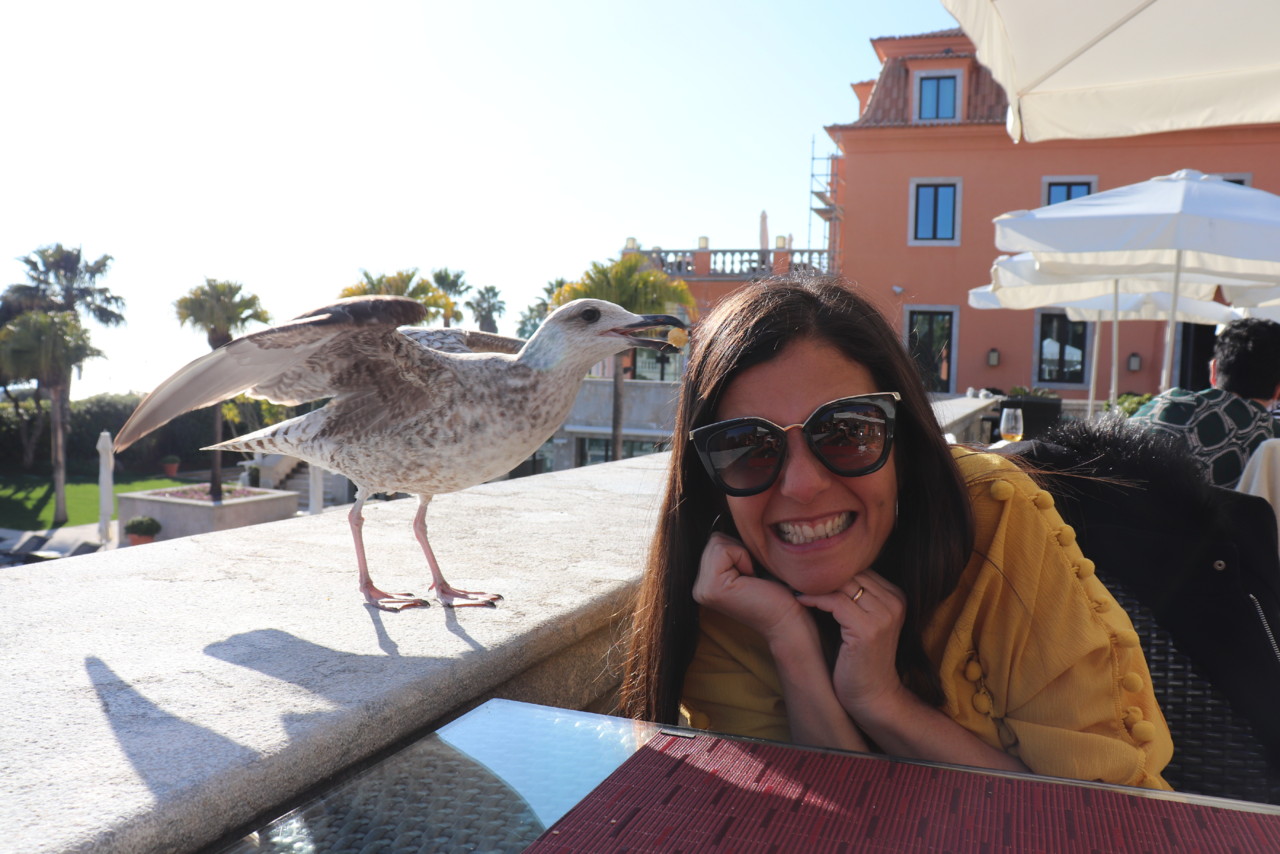 IMG_2924.JPG IMG_2924.JPG