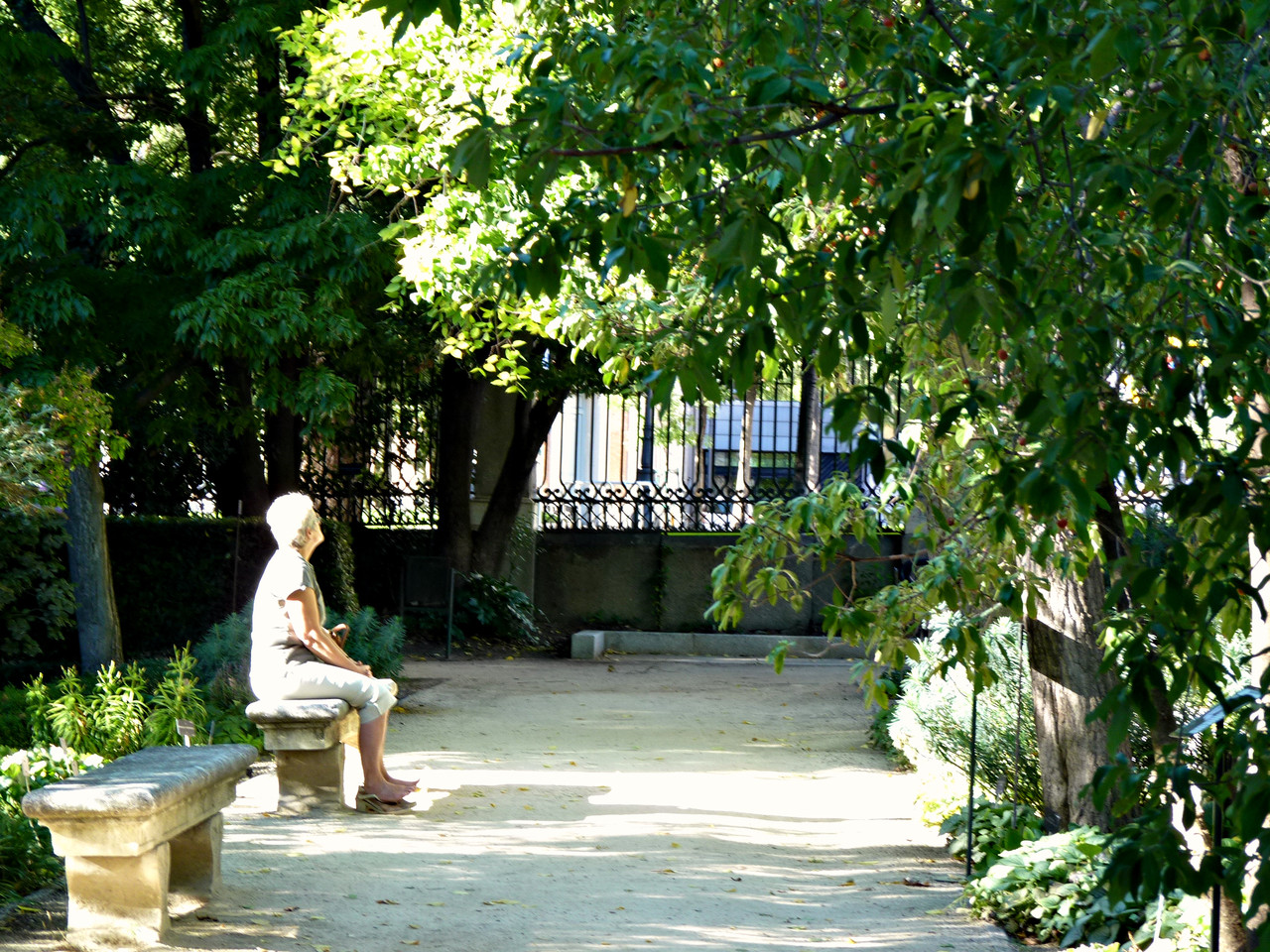 Romântica Madrid-Jardim Botânico (2).jpg