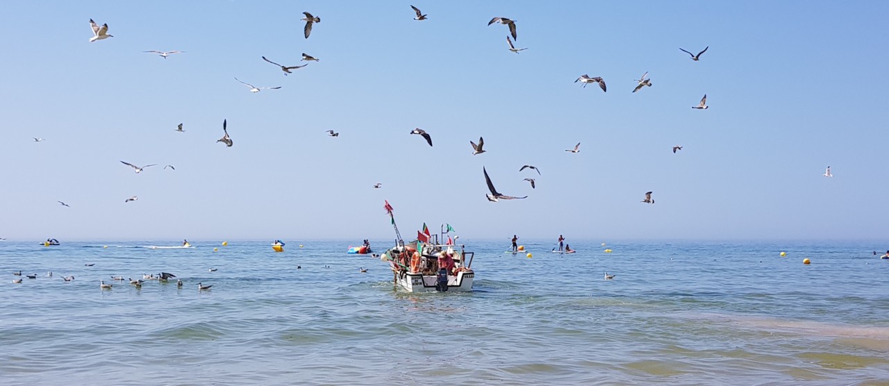 20180818_113953.jpg 20180818_113953.jpg