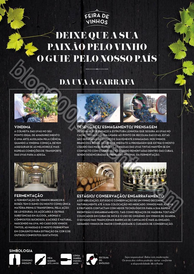 Antevisão Folheto CONTINENTE Vinhos promoções d