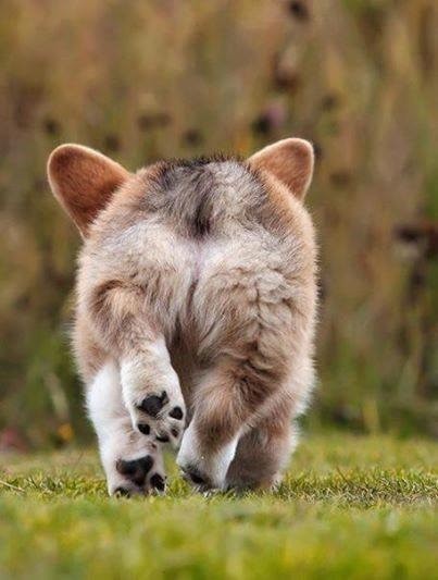 IMG_5660.JPG IMG_5660.JPG