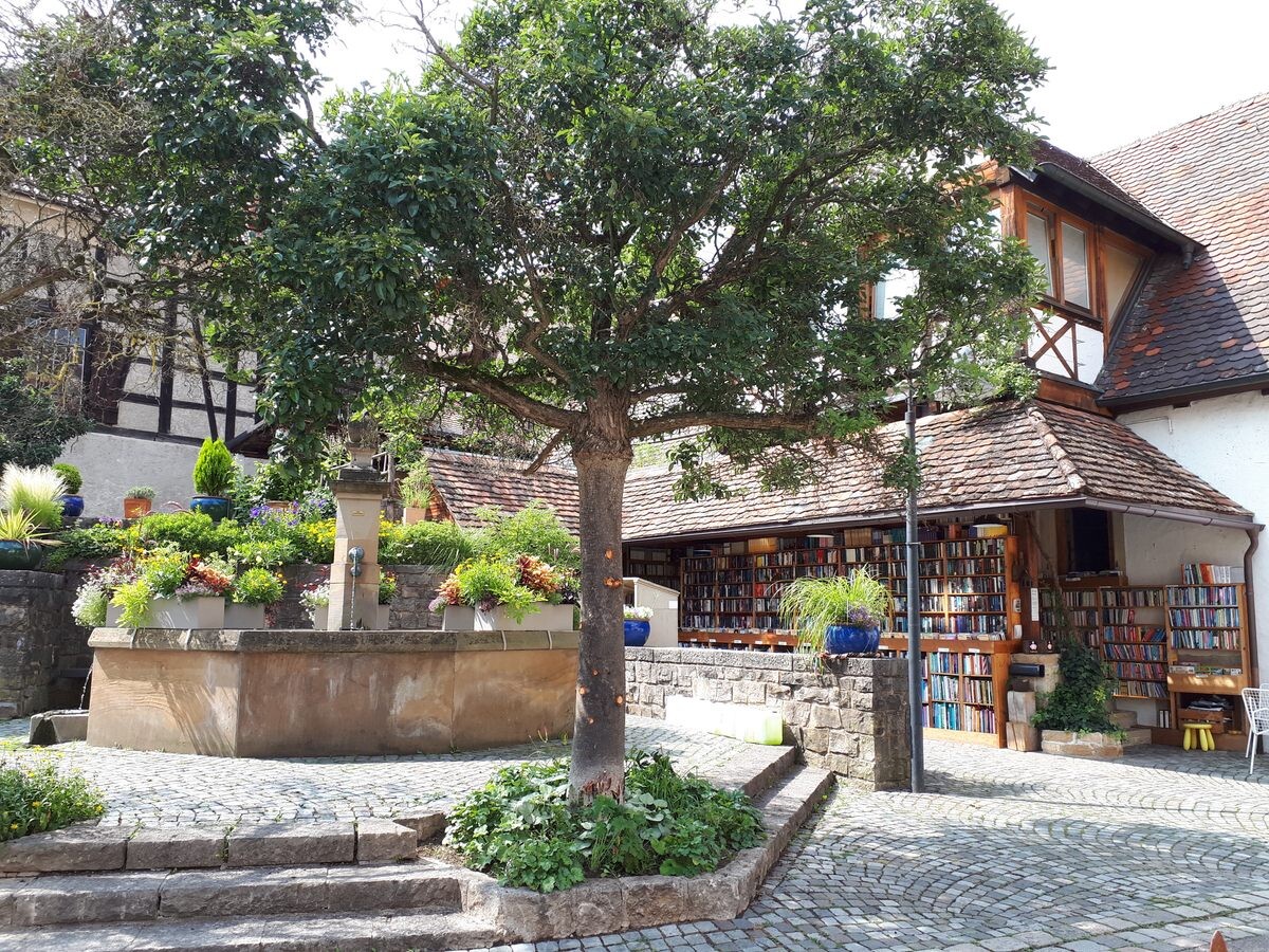 c3e8c896-e7f8-48d1-b7ed-64dcfee69897c697973e63dc54