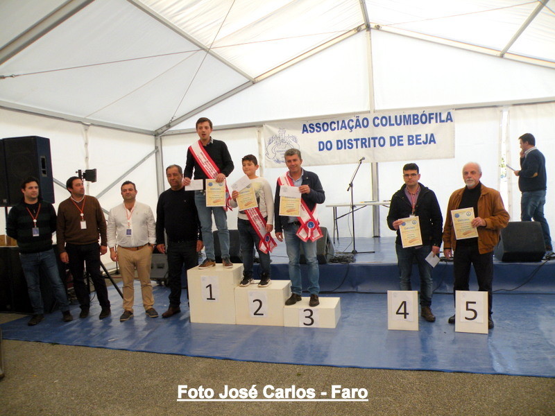 Feira Ibérica Beja 2018 073.JPG Feira Ibérica Beja 2018 073.JPG