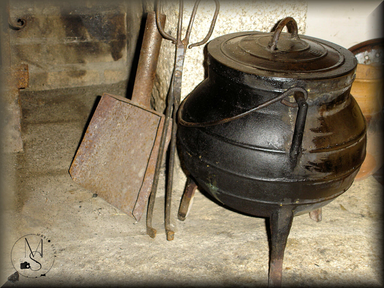 31Jan DSC09513_ms.JPG