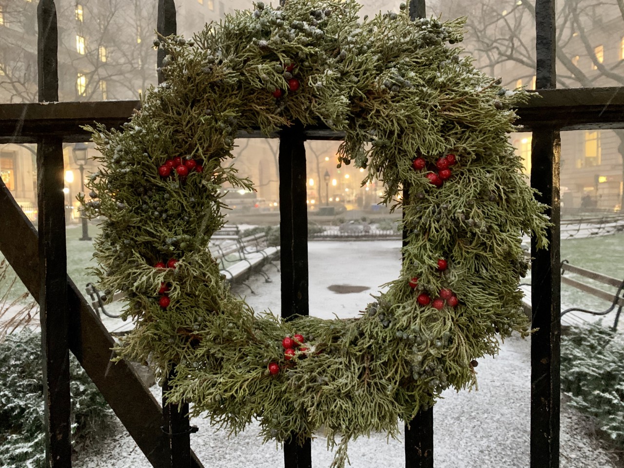 IMG_7407.jpg IMG_7407.jpg