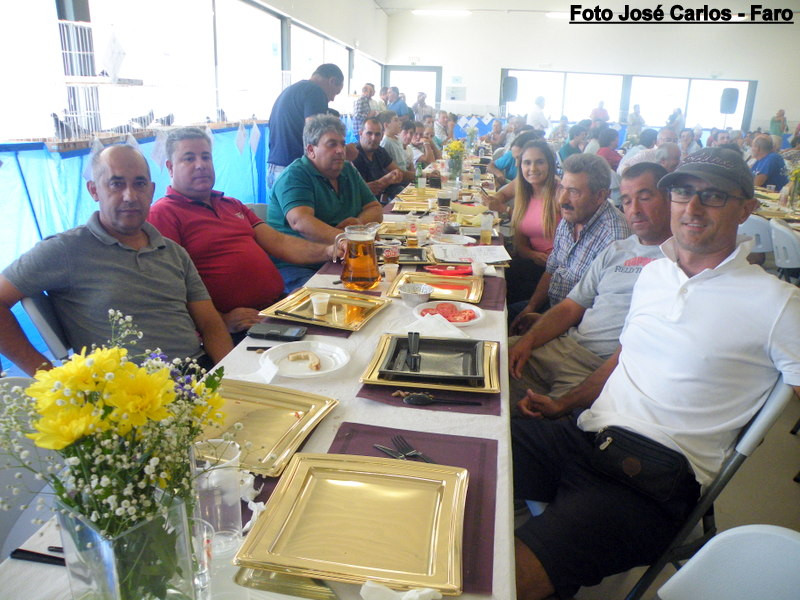 Leilão Serpa 2017 036.JPG