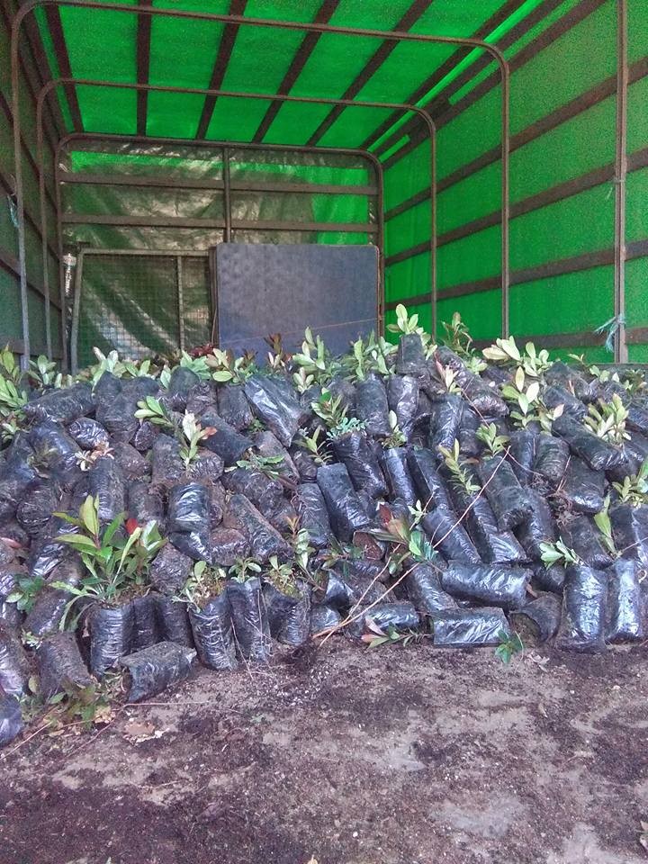 16681695_1320721974641220_7884796685879810062_n.jp