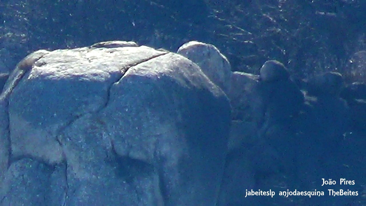 Da Nacional 18     12.jpg