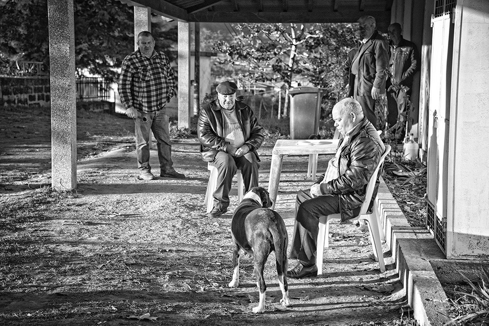 montalegre+matança abobeleira 2014 270 - Cópia.j