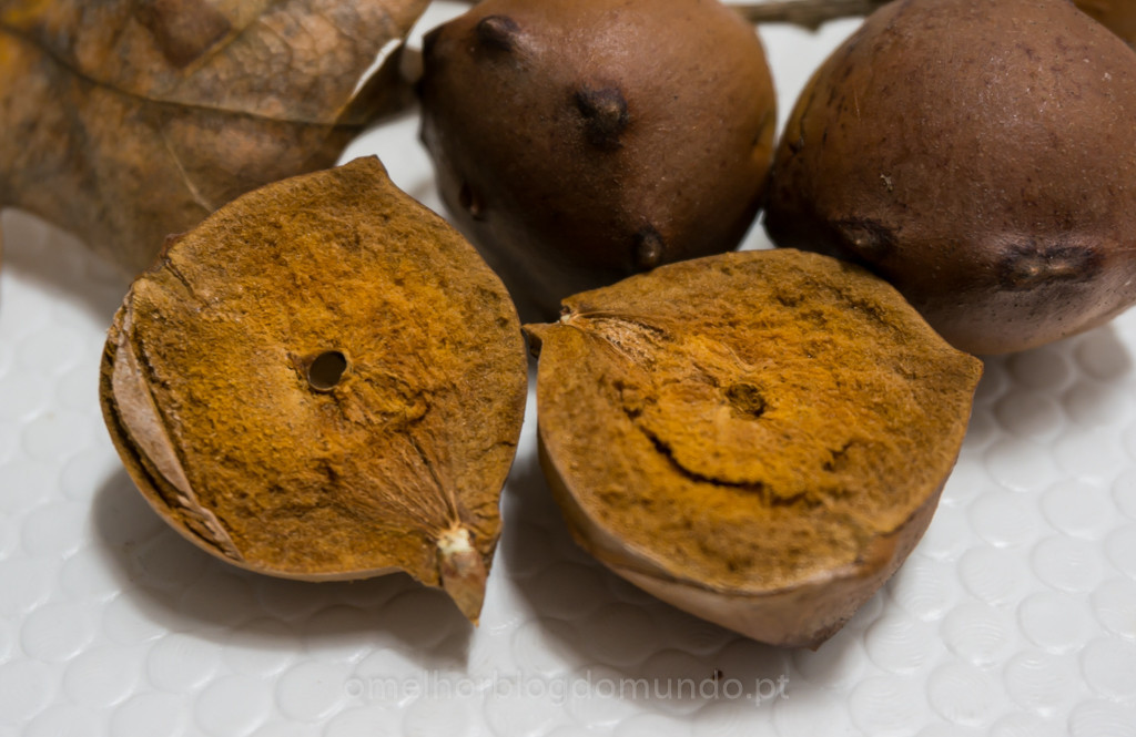 DSC04755.jpg DSC04755.jpg