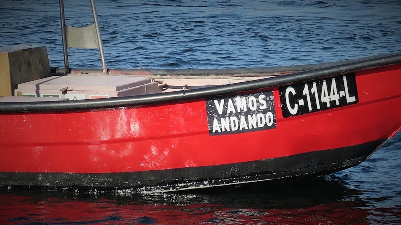 IMG_0024.JPG IMG_0024.JPG