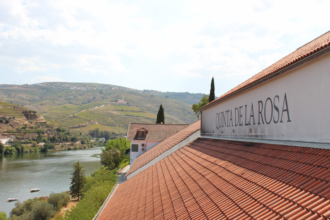 Vindimas 2018: Quinta de la Rosa