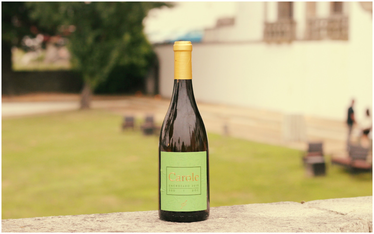 Sabores da vida 2018