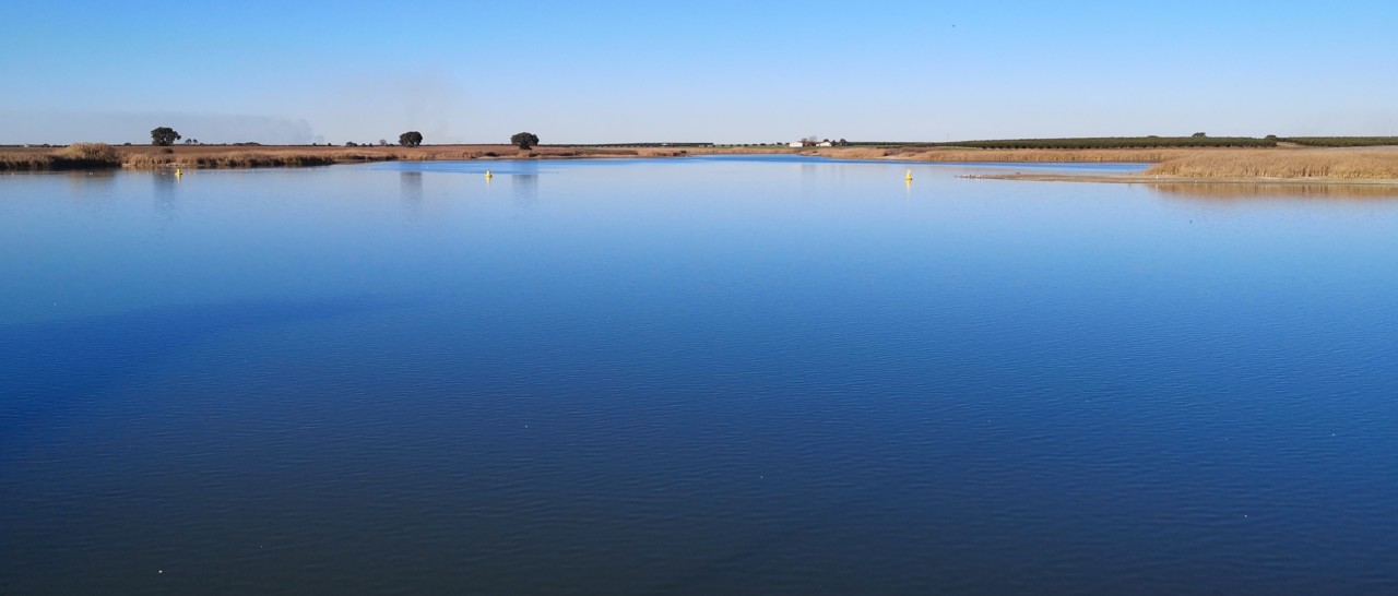 Albufeira de Cinco Reis (5).jpg